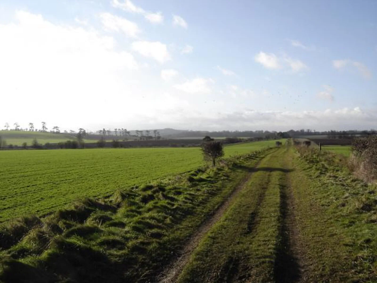 Port Way